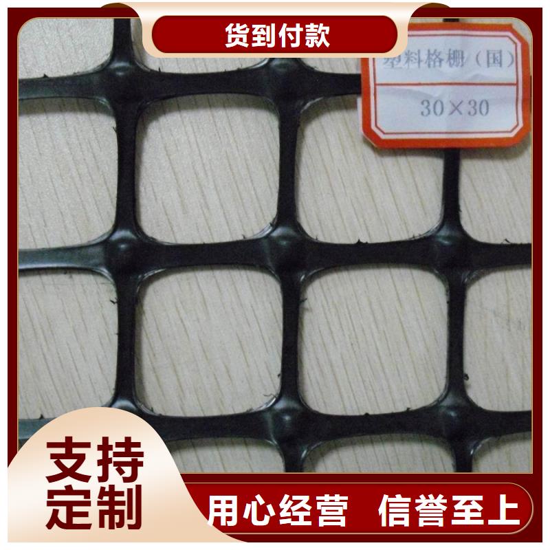 双向塑料土工格栅,钢塑土工格栅精工打造