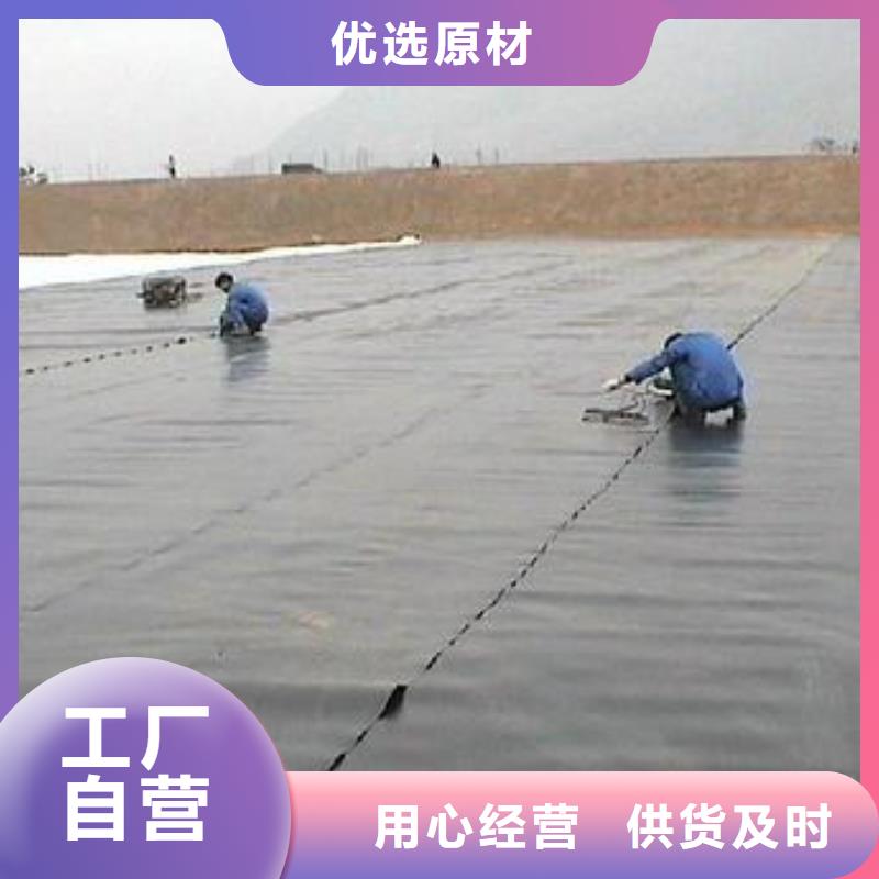 土工膜双向拉伸土工格栅专业信赖厂家