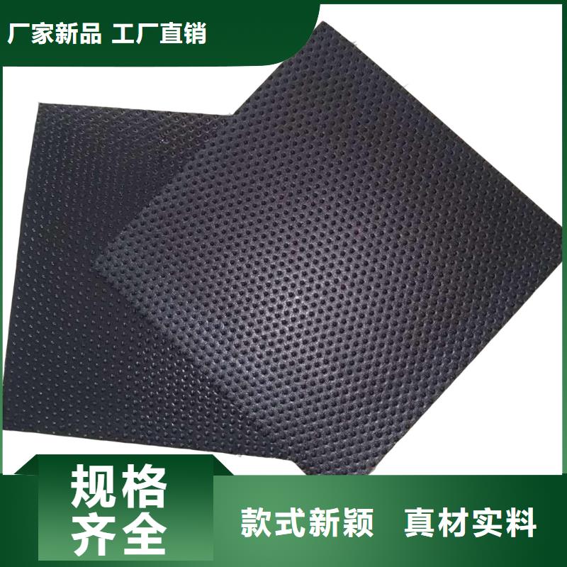 土工膜【三维复合排水网】低价货源
