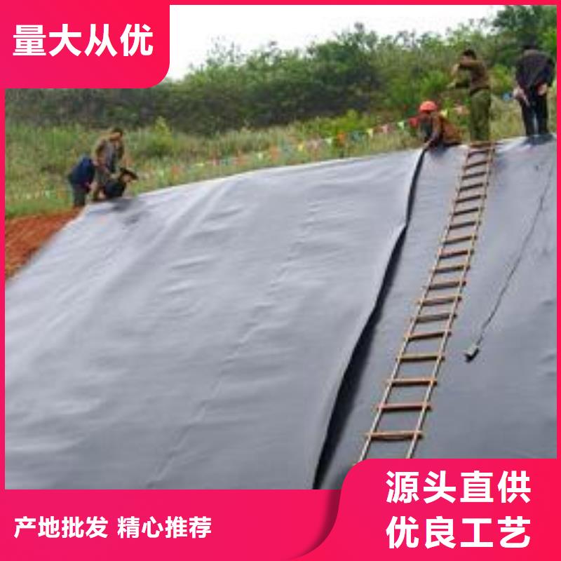 土工膜涤纶土工格栅用心做产品