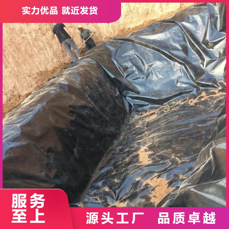 土工膜双向拉伸土工格栅专业信赖厂家