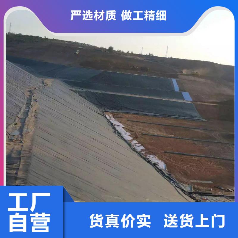 土工膜双向拉伸土工格栅专业信赖厂家