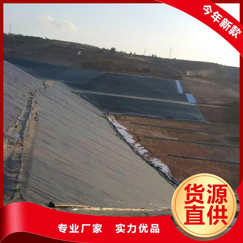 土工膜_单向塑料土工格栅选择我们没错