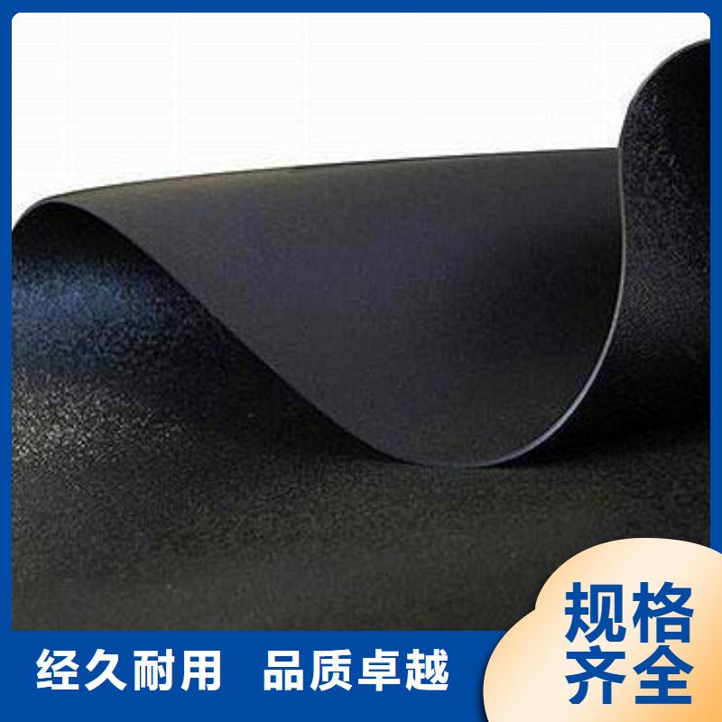 土工膜涤纶土工格栅用心做产品