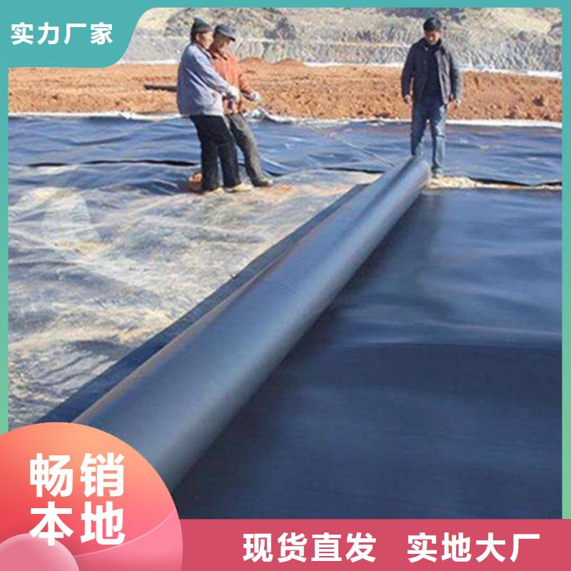 土工膜【三维复合排水网】低价货源