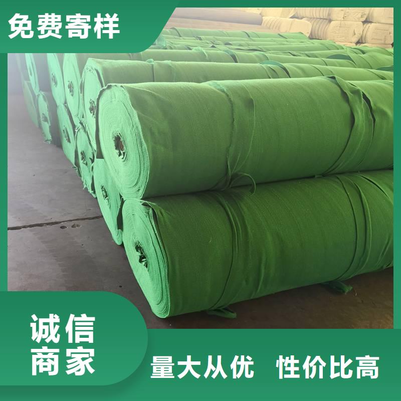 三维土工网垫视频-河北省保定市|博野|安国|张家口|承德|唐山|廊坊|邯郸|秦皇岛三维土工网垫-鼎诺