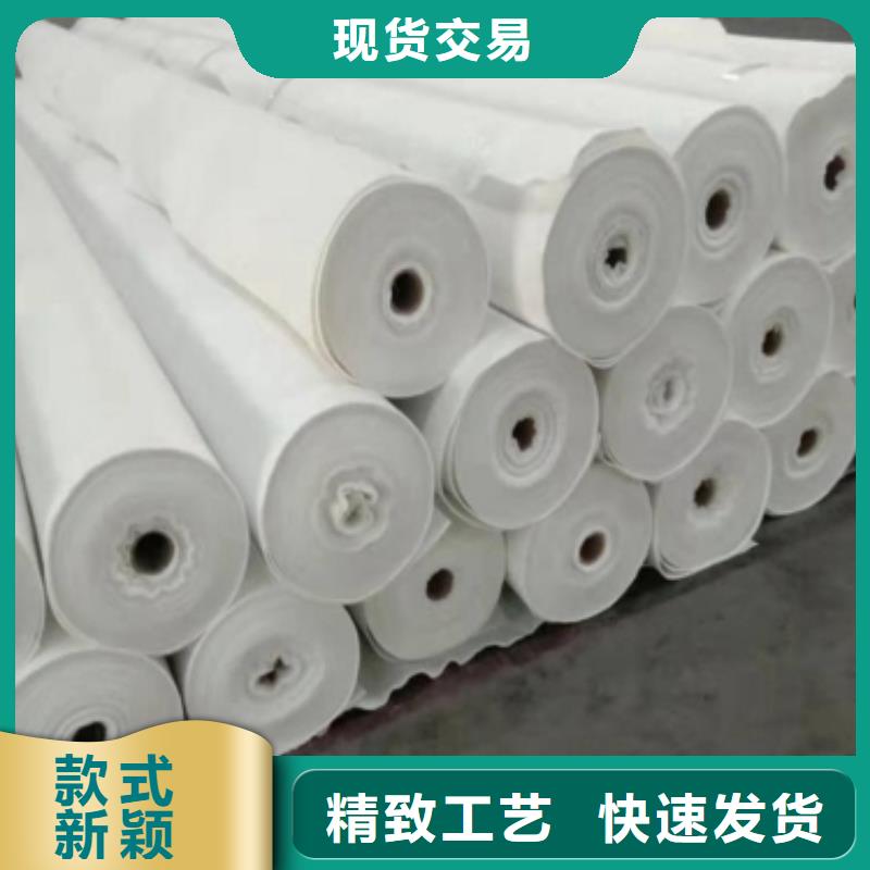 土工布双向拉伸土工格栅品质之选
