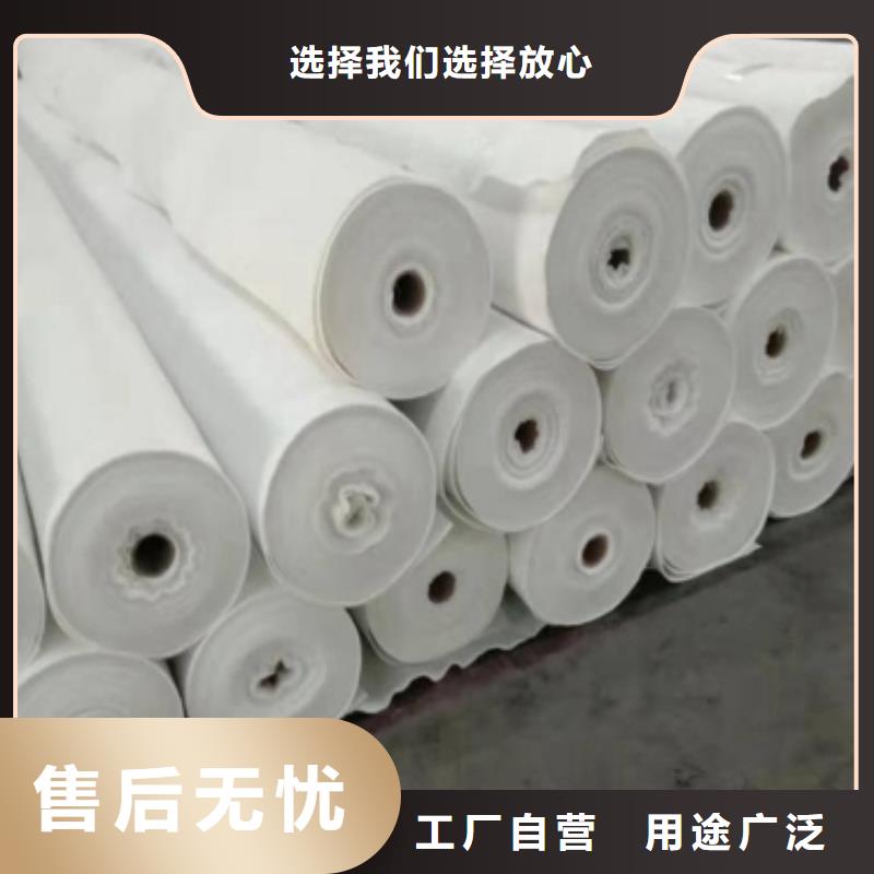 土工布复合土工膜欢迎来电询价