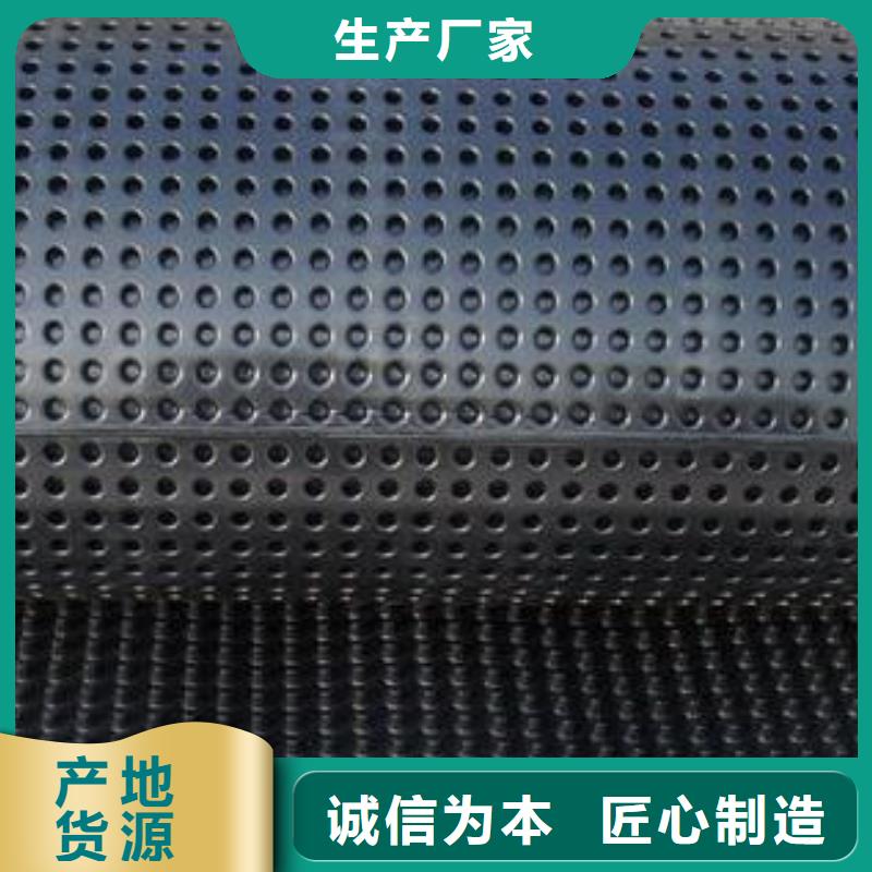 蓄排水板三维复合排水网价格透明