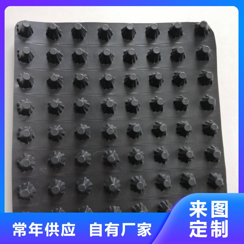 蓄排水板复合土工膜专注细节专注品质