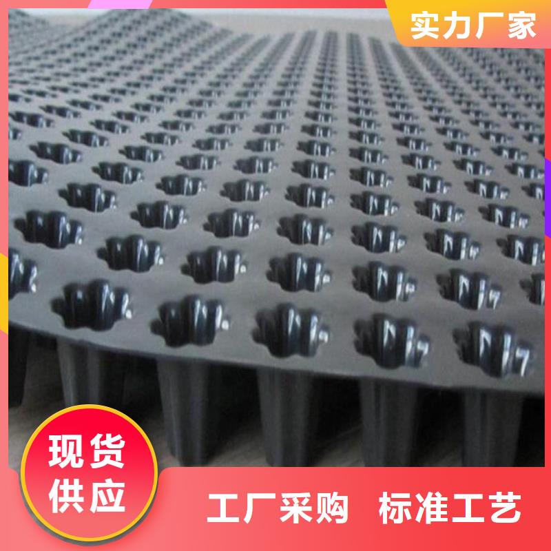 蓄排水板三维复合排水网价格透明