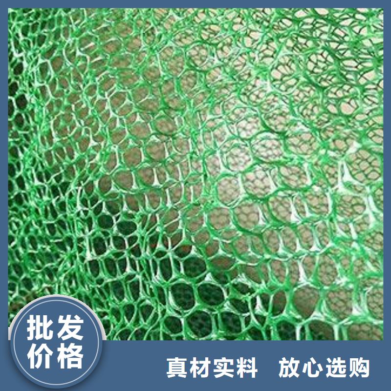 三维土工网垫视频-三维土工网垫-鼎诺土工材料(汉中市分公司)服务区域洋县|南郑|安康|榆林|宝鸡|延安|商洛|西安|铜川