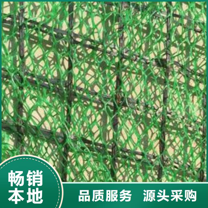 【三维植被网】三维土工网垫自产自销
