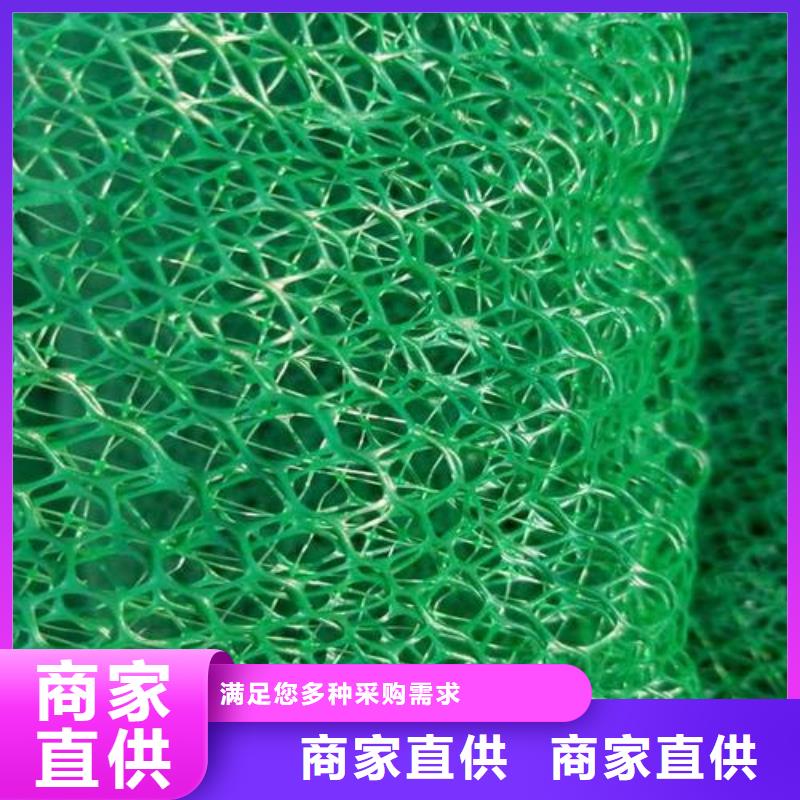 三维土工网垫视频-三维土工网垫-鼎诺土工材料(汉中市分公司)服务区域洋县|南郑|安康|榆林|宝鸡|延安|商洛|西安|铜川