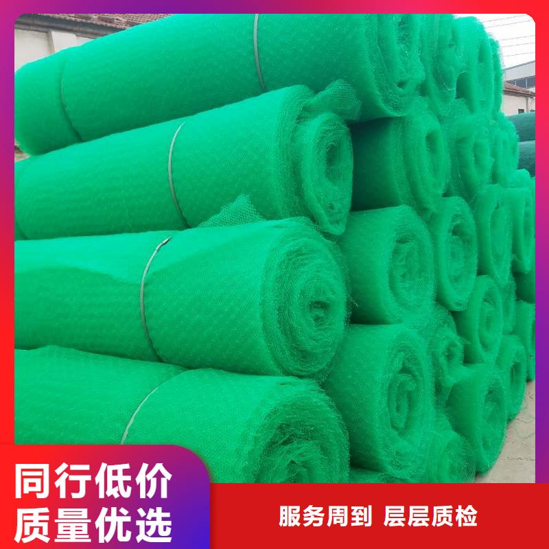 三维植被网塑料盲沟专业生产团队