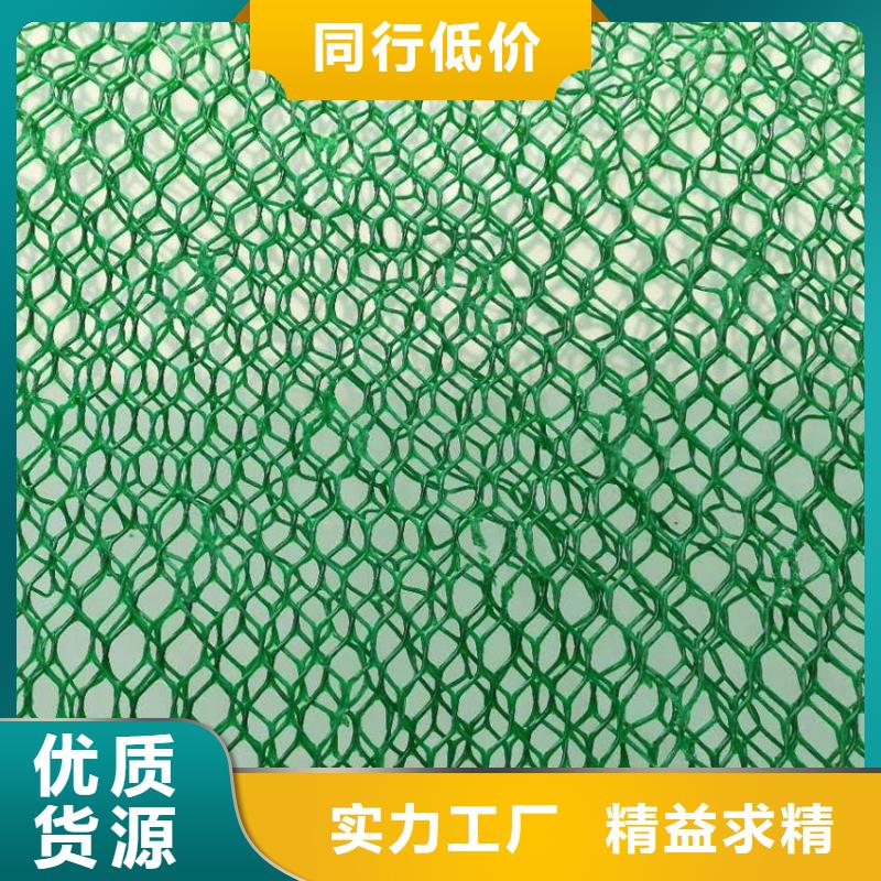 三维土工网垫视频-三维土工网垫-鼎诺土工材料(汉中市分公司)服务区域洋县|南郑|安康|榆林|宝鸡|延安|商洛|西安|铜川
