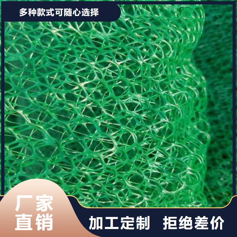 三维植被网软式透水管专业的生产厂家
