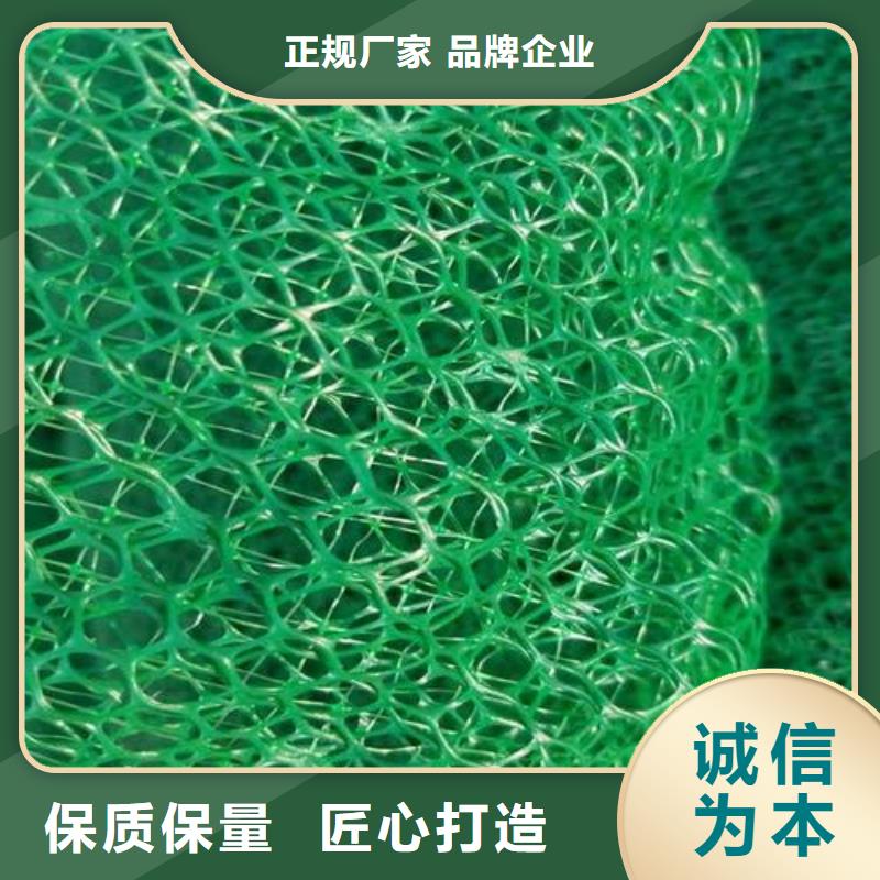 三维土工网垫视频-三维土工网垫-黑龙江省大庆市本地货源-让胡路|龙凤|哈尔滨|佳木斯|齐齐哈尔|牡丹江