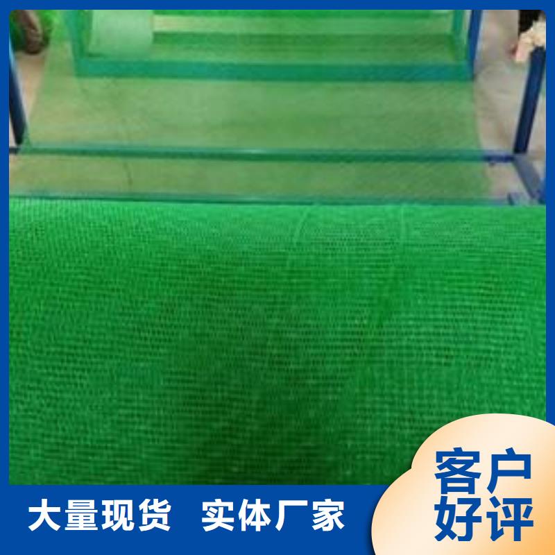 三维植被网-水土保护毯优选厂家