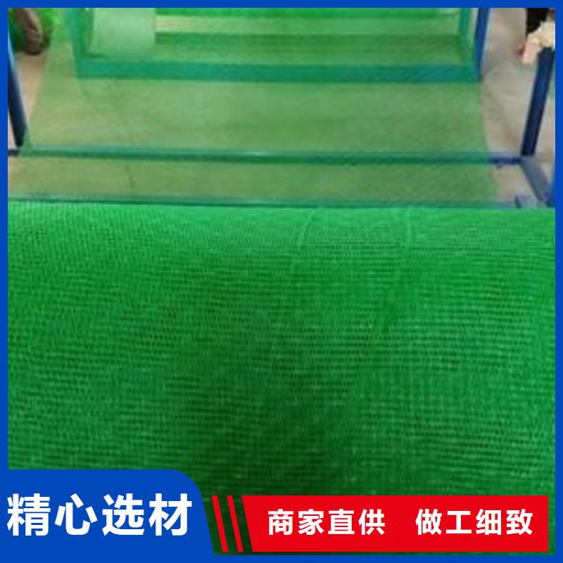 三维土工网垫视频-三维土工网垫-鼎诺土工材料(汉中市分公司)服务区域洋县|南郑|安康|榆林|宝鸡|延安|商洛|西安|铜川