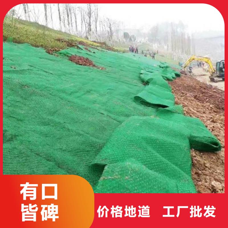 三维植被网软式透水管精工细致打造