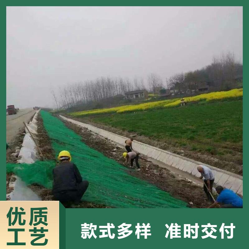 三维植被网-水土保护毯优选厂家