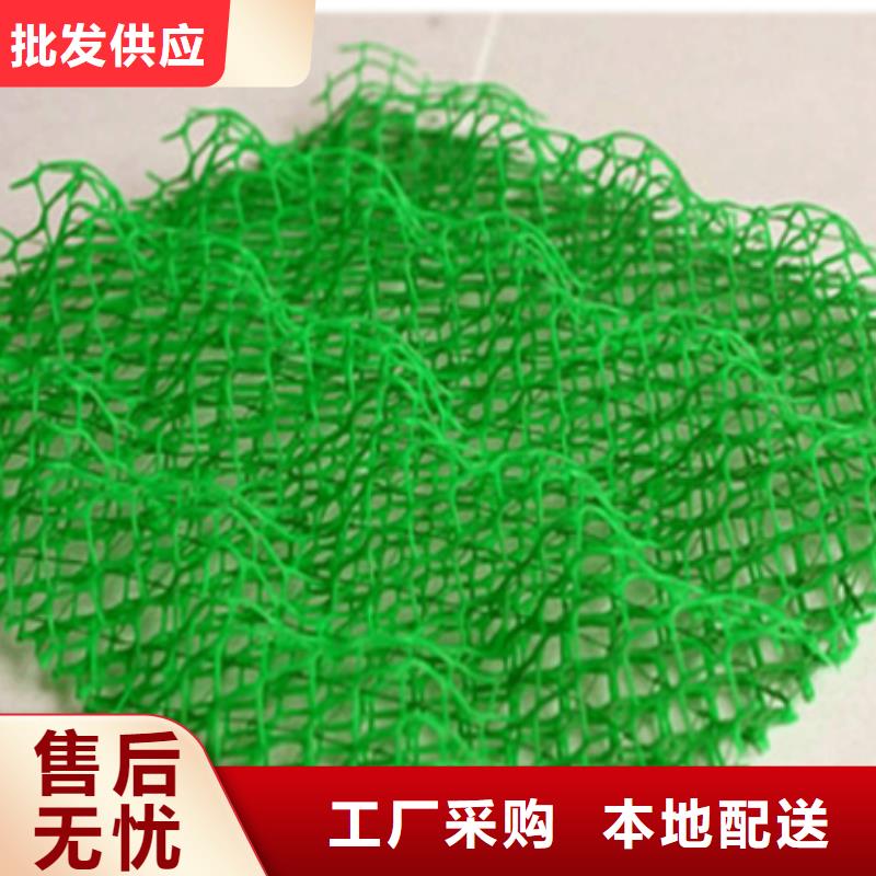 三维植被网软式透水管精工细致打造