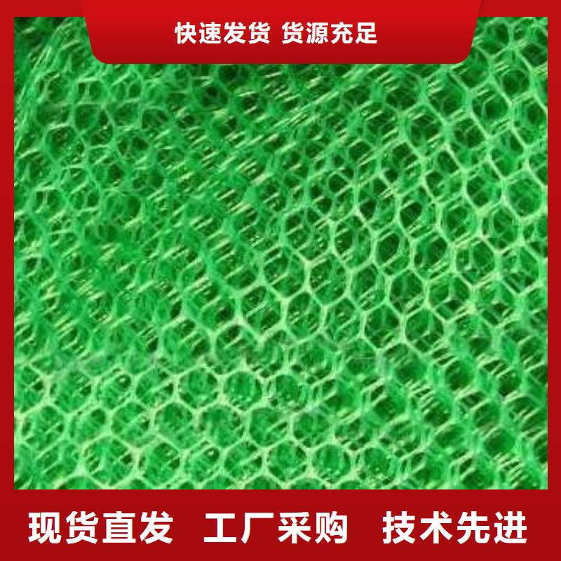 三维植被网-水土保护毯优选厂家