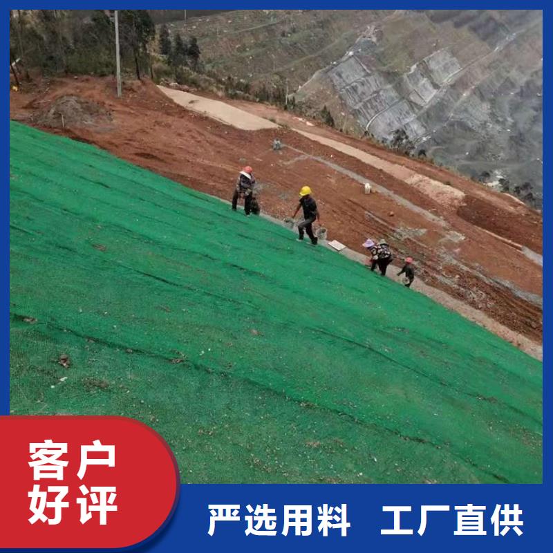 三维土工网垫视频-三维土工网垫-黑龙江省大庆市本地货源-让胡路|龙凤|哈尔滨|佳木斯|齐齐哈尔|牡丹江