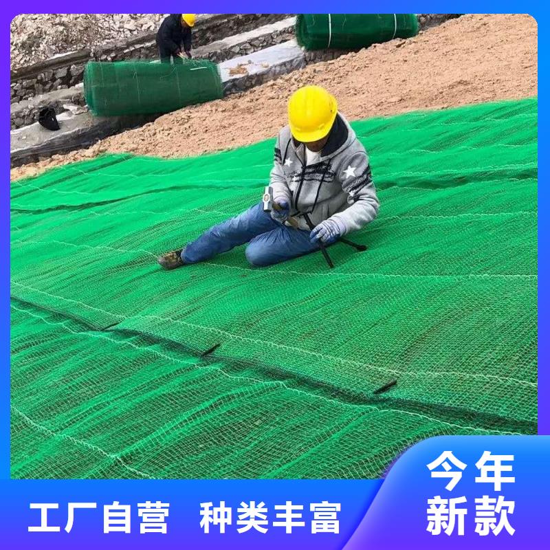 三维土工网垫视频-三维土工网垫-鼎诺土工材料(汉中市分公司)服务区域洋县|南郑|安康|榆林|宝鸡|延安|商洛|西安|铜川