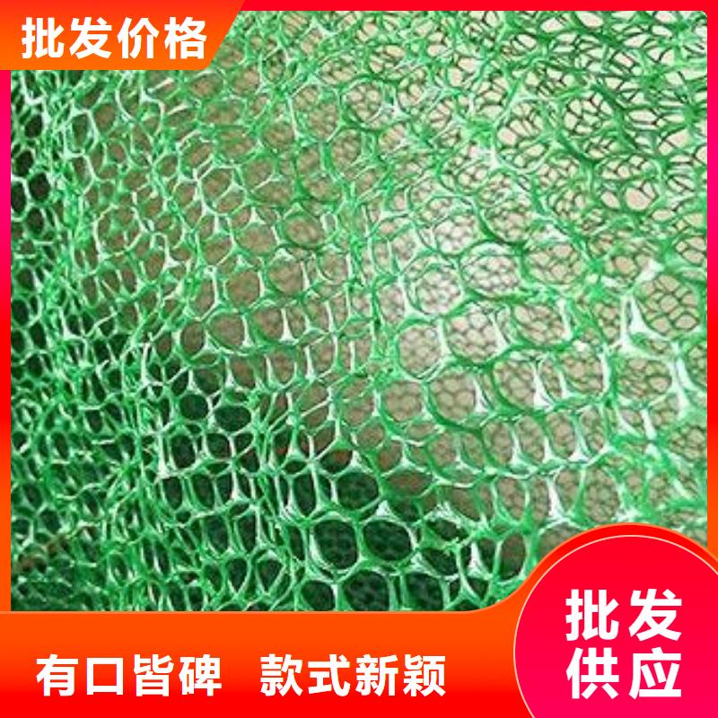 三维土工网垫视频-三维土工网垫-鼎诺土工材料(汉中市分公司)服务区域洋县|南郑|安康|榆林|宝鸡|延安|商洛|西安|铜川