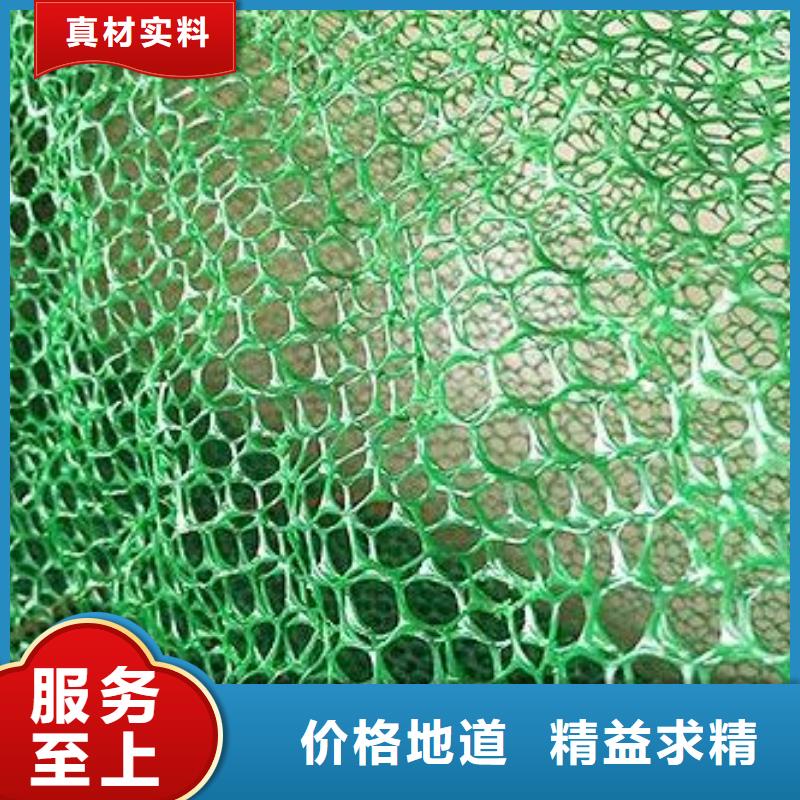 三维植被网软式透水管精工细致打造