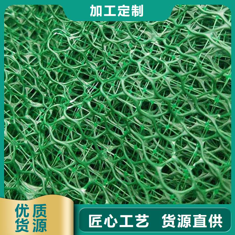 三维土工网垫视频-三维土工网垫-鼎诺土工材料(汉中市分公司)服务区域洋县|南郑|安康|榆林|宝鸡|延安|商洛|西安|铜川