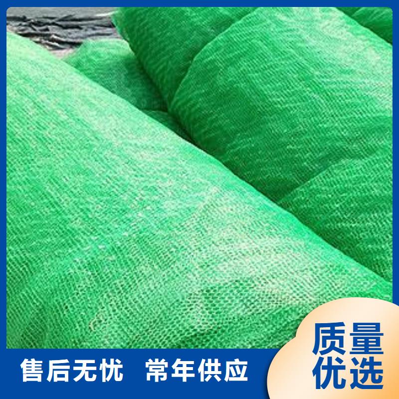 三维植被网复合土工膜厂家直销供货稳定