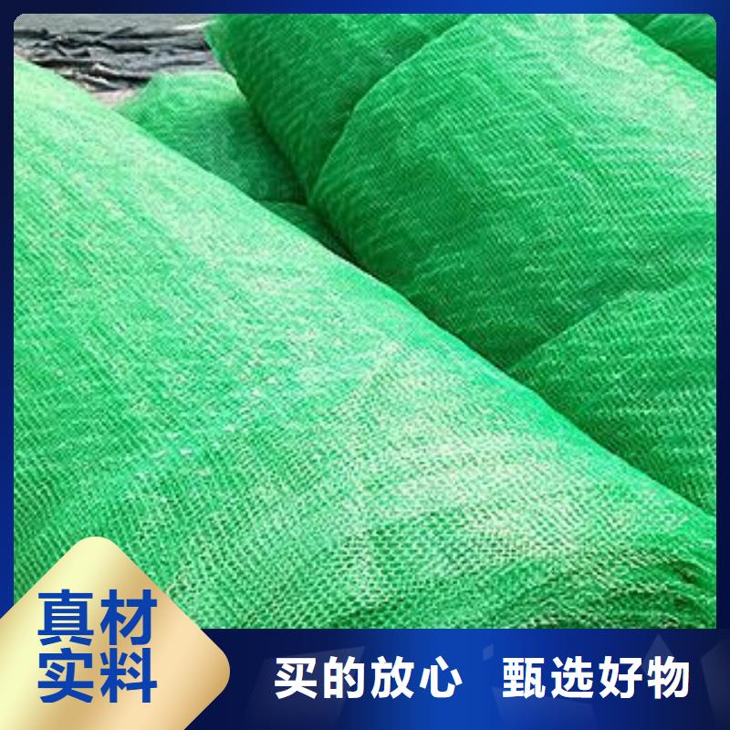 【三维植被网】三维土工网垫自产自销