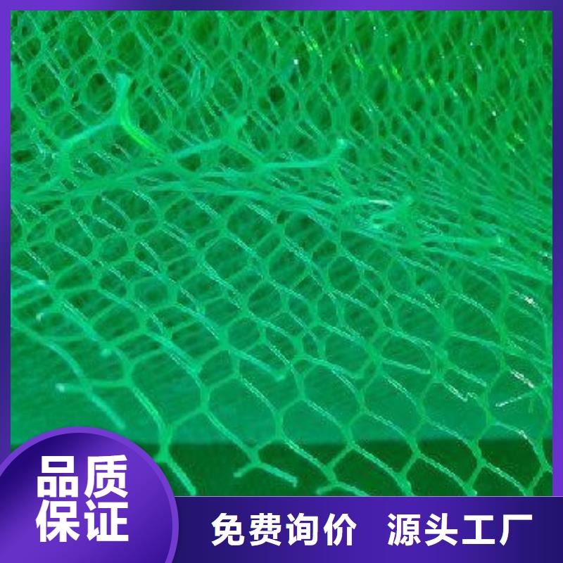 三维植被网塑料盲沟专业生产团队