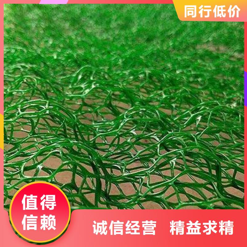三维植被网塑料盲沟专业生产团队