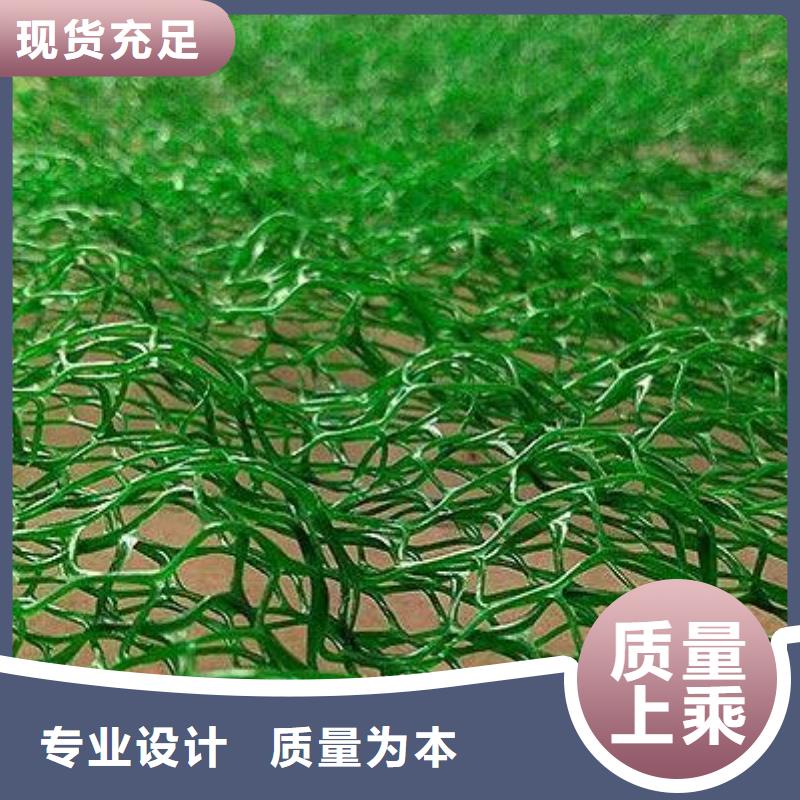 三维植被网复合土工膜厂家直销供货稳定
