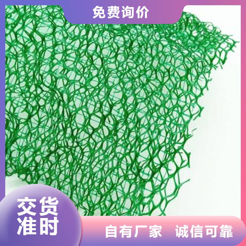 【三维植被网】三维土工网垫自产自销