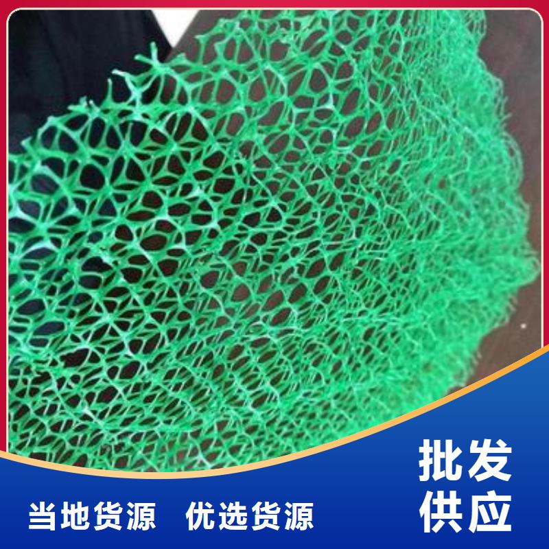 三维植被网复合土工膜厂家直销供货稳定