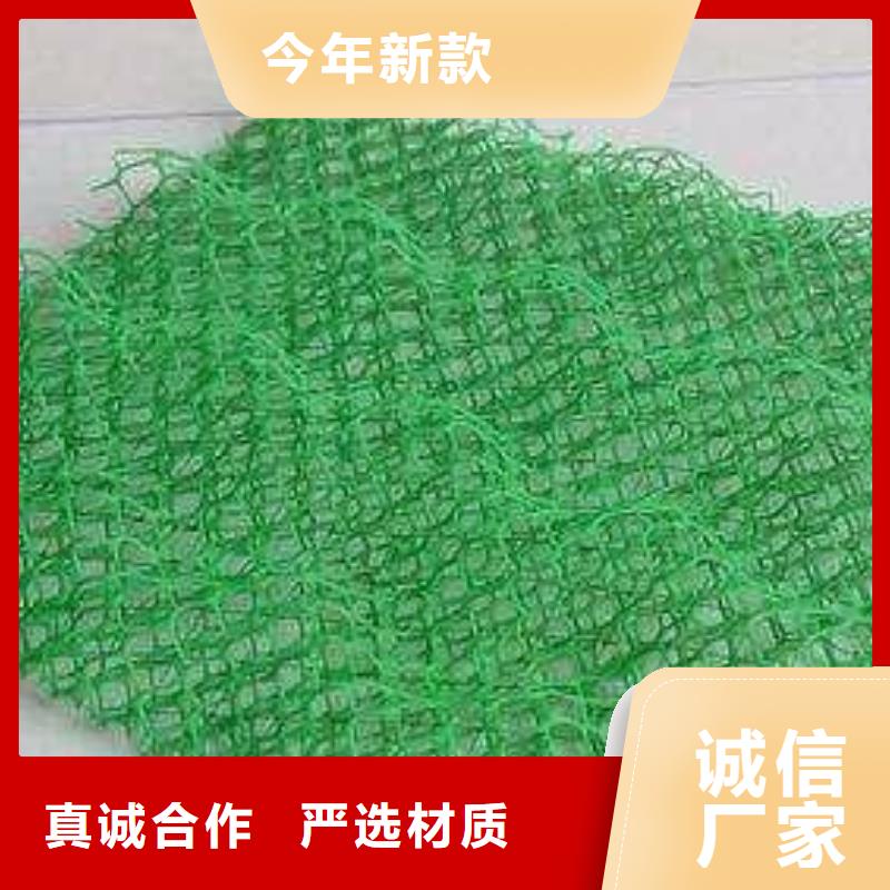 三维植被网复合土工膜厂家直销供货稳定