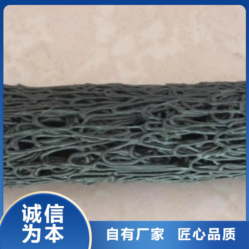 三维土工网垫视频-三维土工网垫|四川省|广安|雅安|泸州|自贡|甘孜|遂宁|内江
