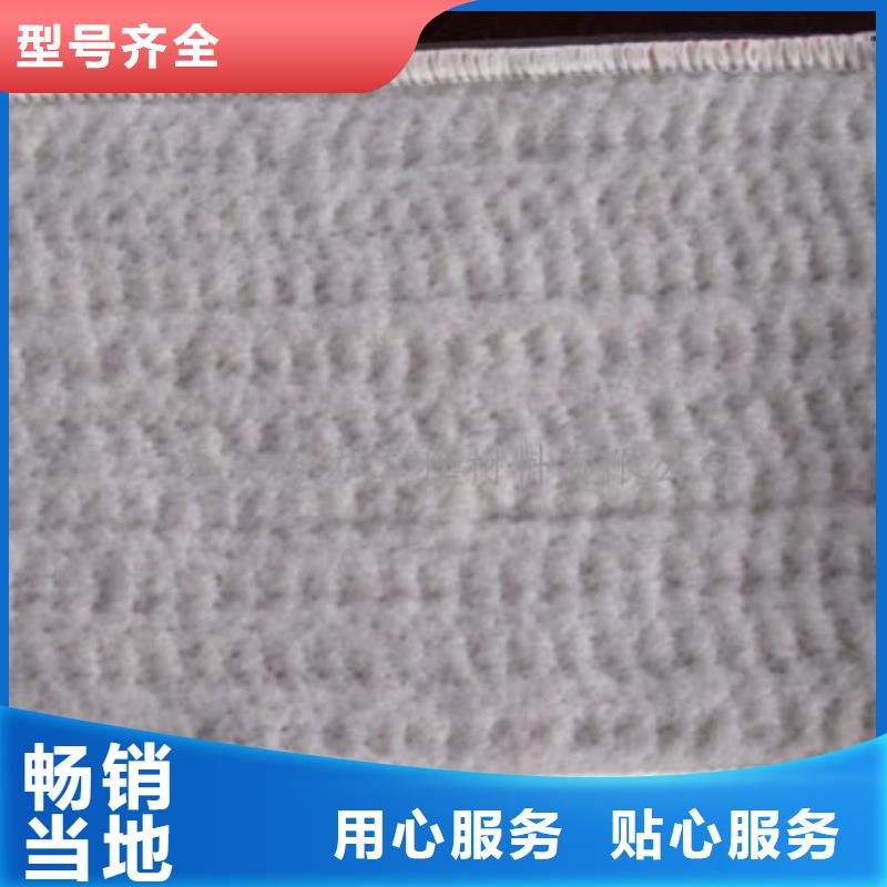 膨润土防水毯单向塑料土工格栅实力优品
