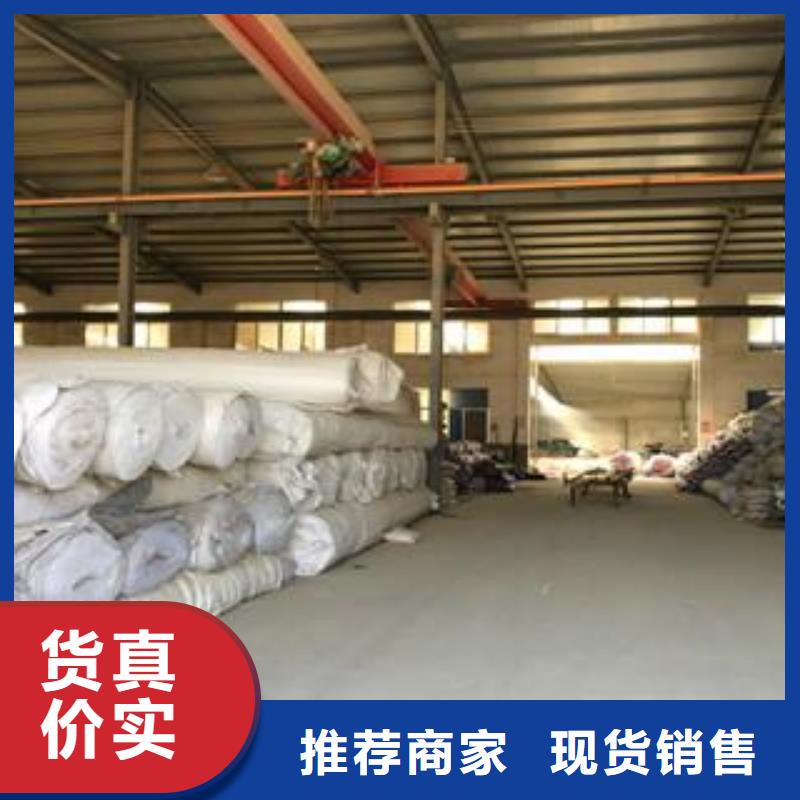 【膨润土防水毯】-单向塑料土工格栅生产经验丰富