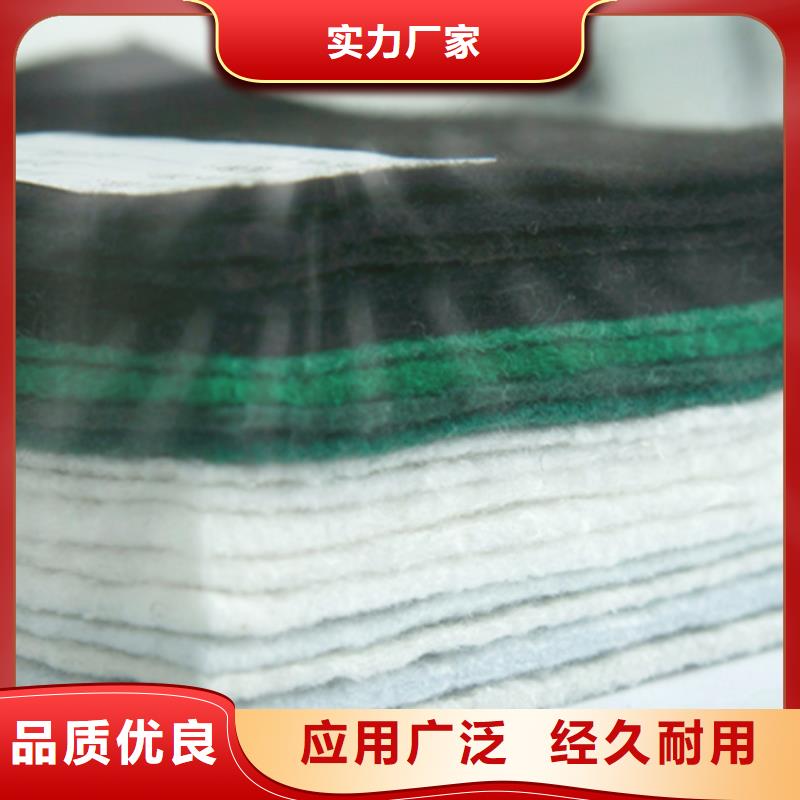 三维土工网垫视频-三维土工网垫|绵阳市|三台|平武|眉山|甘孜|成都|德阳|雅安|内江|自贡