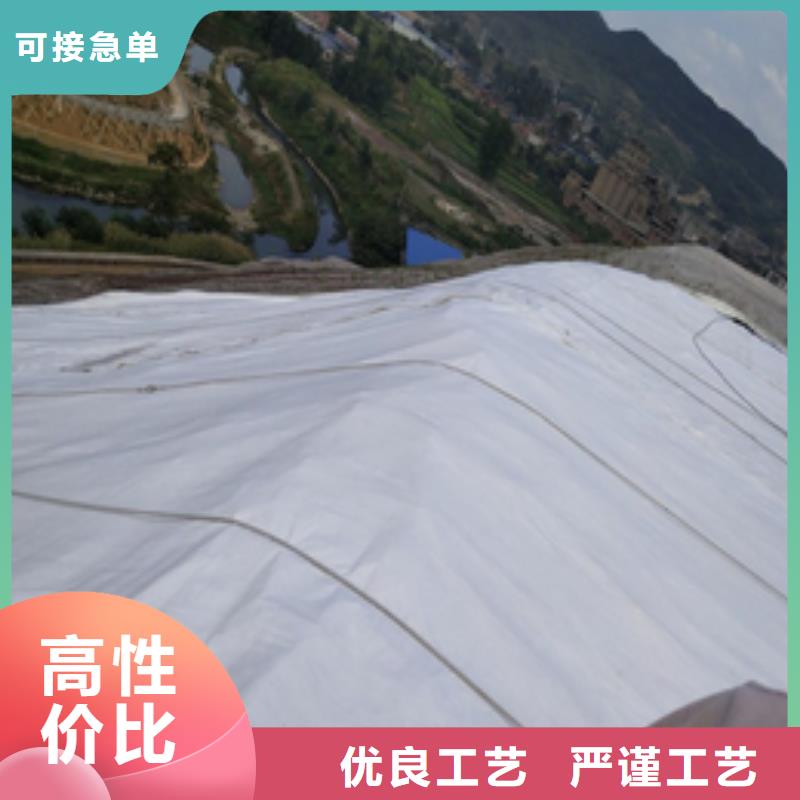 三维土工网垫视频-三维土工网垫_辽宁省沈阳市市场覆盖苏家屯|沈河|辽阳|大连|铁岭|丹东等