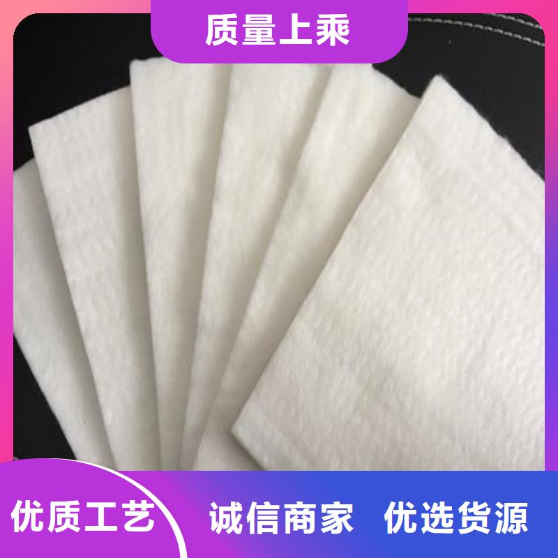 土工布三维土工网垫实力优品