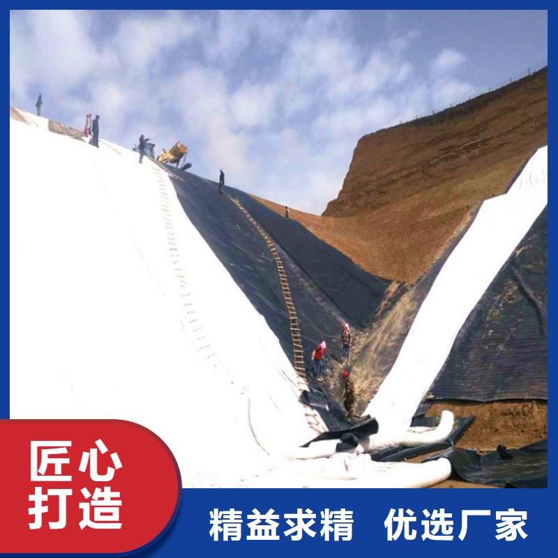 土工布三维土工网垫实力优品