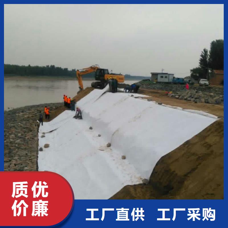 土工布三维土工网垫实力优品