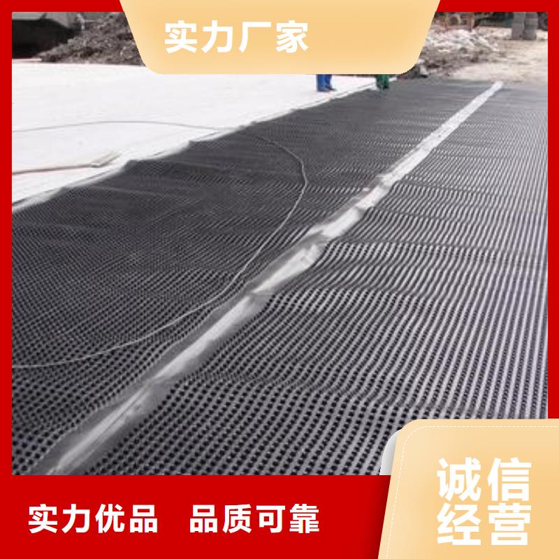 三维土工网垫视频-三维土工网垫-广西省柳州市(周边)货源-柳江|柳南|梧州|南宁|河池|钦州